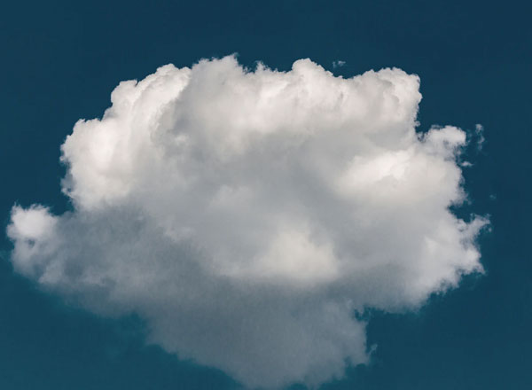 Preparing 85,000 Internal Revenue Service Employees for a Cloud Upgrade